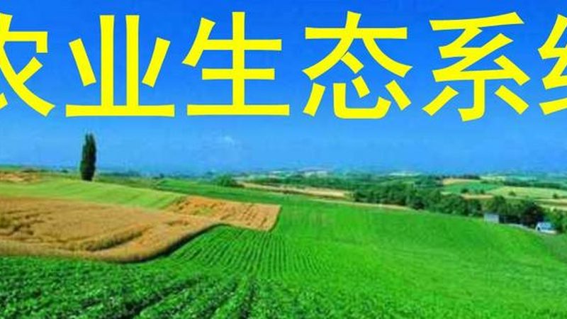 智慧农业，未来农业的驱动力