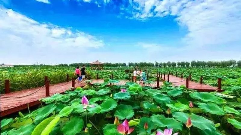 农民专业合作社财务管理软件价格