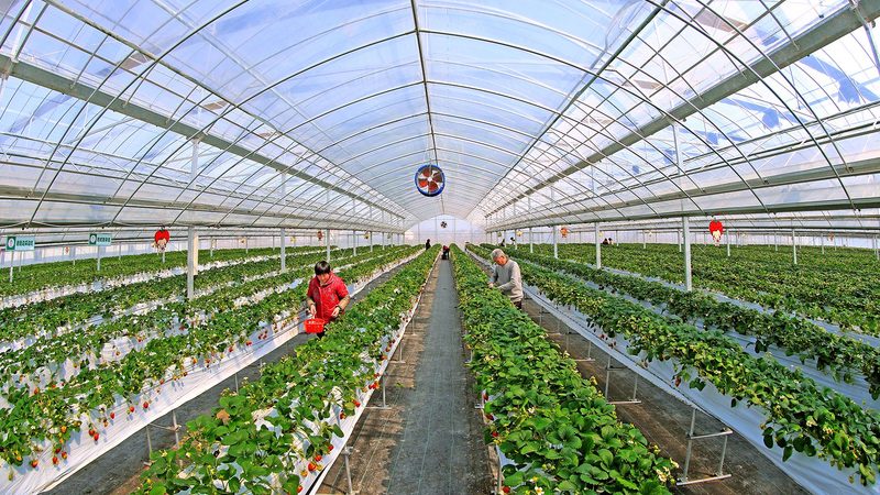生鲜配送经营许可证：护航食品安全与行业合规的基石