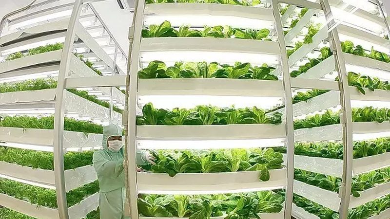 家庭农场合作社补贴申请