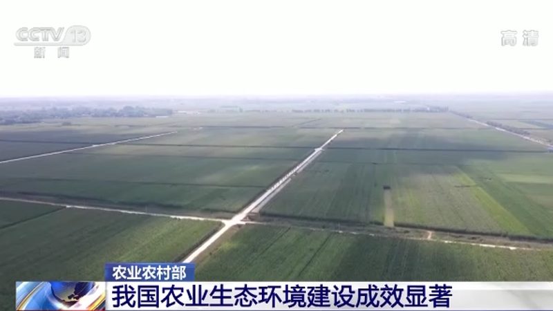 农产品批发市场摊位价格揭秘：如何看懂市场动态