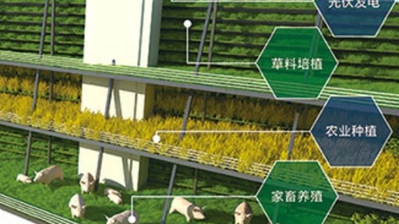 进口农产品批发清关流程全解析