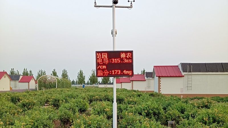 上海果蔬配送公司代理政策：政策解读与市场洞察
