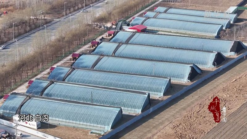 食堂食材配送代理怎么做