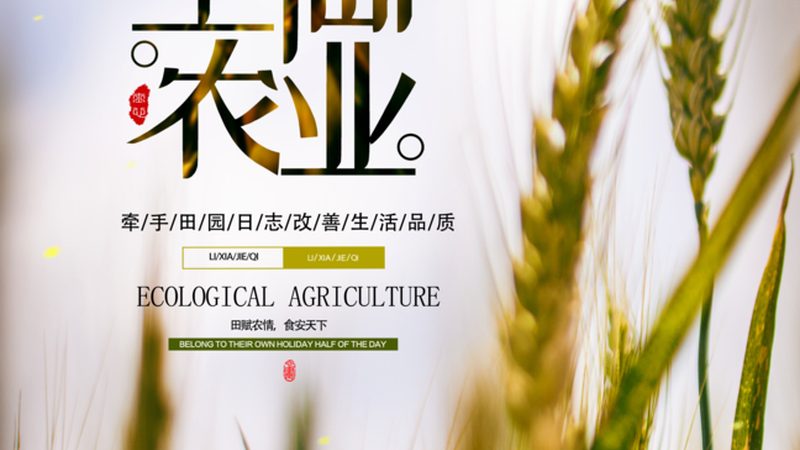 生鲜配送果蔬怎么选公司